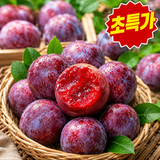 [100박스한정] 고당도 피자두 빨간 자두, 1개, 1kg