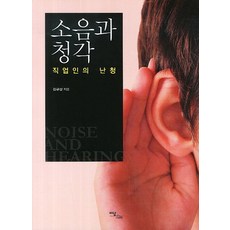 IdamBooks 噪音與聽力：職場人的聽力損失, 金圭相 著