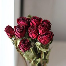 現貨 大把乾燥花 星辰/滿天星/情人草/卡斯比亞 乾燥花花束 永生花 情人節禮物 生日禮物 拍照道具背景 餐廳佈置, 10支/紅玫瑰