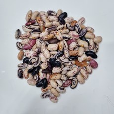 [25년산]강낭콩/국산강낭콩/혼합강낭콩/마른강낭콩, 1개, 1kg