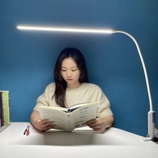 책상 스탠드 LED 시력보호 국산정품, L500-23w, 집게형
