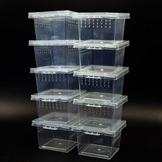 코코넷 미니 케이지, 10개