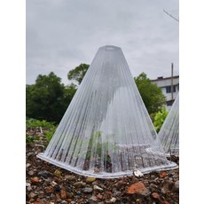 식물 보호 덮개 보온 텃밭 초대형 밭 모종 방충 캡 꼬깔 커버 10개, 1개, 특대형 28x29cm 50개입