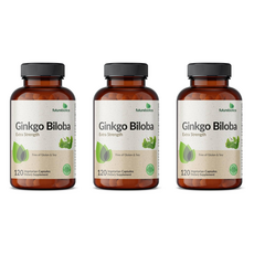 Futurebiotics 징코빌로바 120 Vegetarian캡슐 3팩