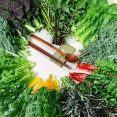 GAP] 쌈채소 15종이상 모듬샐러드 모듬쌈채소 특수야채 로메인 당귀 생채 케일 쌈배추 치커리 샐러리 겨자 600g 1kg, 400g, 1박스