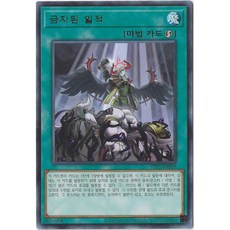 금지된일적 (TTP1-KR088) Rare