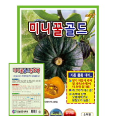 미니꿀골드 단호박 씨앗(10립) 미니꿀단호박 골드호박 오랜지색 영웅씨앗, 1개