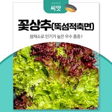 세경팜 적색이 진하고 우수한 꽃상추 적축면 씨앗 3000립, 1개