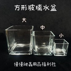 慢慢爬 方形玻璃水盆 蛇水盆 守宮水盆 寵物飲水器, 1個