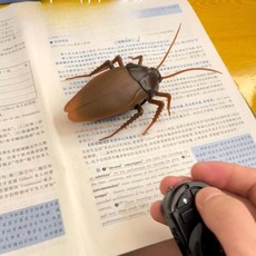 리얼한 무선 조종 RC바퀴벌레 장난감 친구놀리기