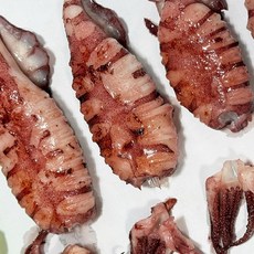 급냉한치 총알 통찜용 한치 500g, 총알한치 500g X 1, 1개