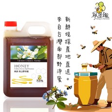 尋蜜趣 台灣南部高山野淬花蜜 3kg, 1個, 高山野淬花蜜 3kg