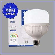 비츠온 LED T-벌브 30W E26, 주광색, 10개