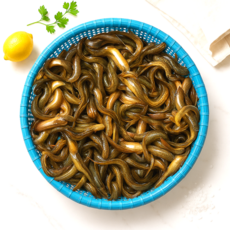 양식 미꾸라지 추어탕용 신선도, 1개, 2kg 1팩
