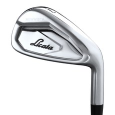 리카타 뉴비스타 스틸 7번 아이언 단품 골프연습 입문용 골프채, 뉴비스타 스틸 7번 R