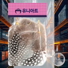 점박이 깃털 회색 꾸미기재료 만들기수업 미술놀이 드림캐쳐DIY 드림캐쳐만들기 공예재료