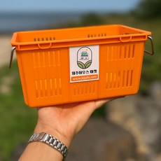 제주상회 감귤 미니 컨테이너 수납 정리 바구니, 흑도니, 1개