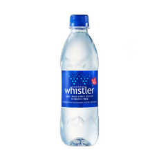 캐나다 프리미엄 빙하수 휘슬러 생수, 500ml, 1개