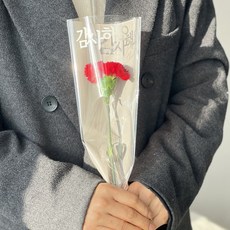 한송이 카네이션 생화 어버이날 스승의날 농장직송 데일리꽃, 1개