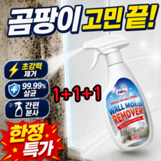 (1위) 초강력 곰팡이제거제 다기능 곰팡이 제거 스프레이 wall mold remover 곰팡이제거제 욕실 곰팡이제거제, 3개, 240ml