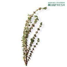 신선 생 타임 허브 수프고기요리용 향, 50g, 1개