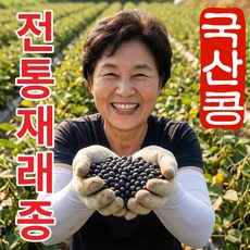 더맛곳간 국산 서리태 검정콩 토종 검은콩 서리태콩, 1개, 1kg