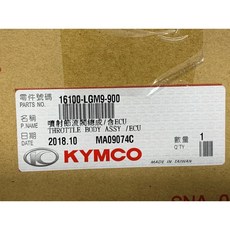 KYMCO 噴射節流閥總成 含ECU LGM9, 1個