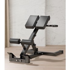 백익스텐션 체어 코어 운동기구 로만 헬스장 벤치 복근, 스탠다드 접이식