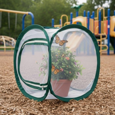 몬딱잡화점 나비 곤충 관찰 채집망 소형 채집통 관찰 케이스 망사 포획망 곤충 키우기 세트, 단일옵션