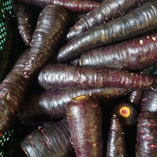 산지직송 국내산 친환경 세척 자색 당근, 1박스, 1kg(정품)