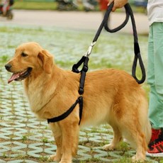코지테라 로프 대형견 목줄+하네스+리드줄 세트 XS 반려견용품