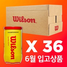 윌슨 테니스공 36캔 시합구 1박스, 라임, 72개 라임, 72개
