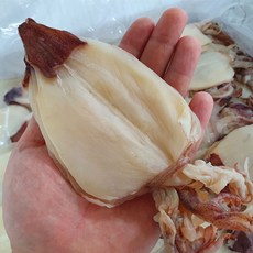 햇 반건조 한치 5마리, 1개, 100g 내외