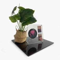 완자스토어 아크릴 CD 거치대 앨범스탠드, CD 1+포카 2