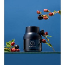 2개입불스원 그라스 디퓨저 블루 차량용 방향제 90ml 블랙베리 207030