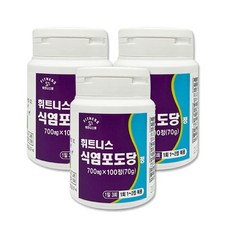 휘트니스팜 식염포도당정, 3개, 100정 3개, 100정
