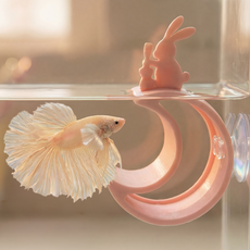 4in1 베타 침대 터널 은신처 쉼터 알몬드잎 거치대 어항 꾸미기 모네와쿠아 루나네스트, 이클립스 블랙, 심플(토끼x)