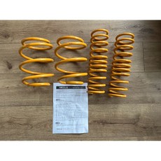 NEXUS BMW E39 短彈簧 6缸專款 520/523/535/528/530 歐盟 TUV認證, 1個