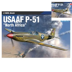 [오품] 1대48 P-51 북아프리카 전선