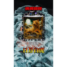 阿贊迪 日月白虎 坐著有錢 權勢權威 守財納福 佛牌, 1個