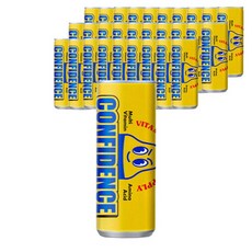 비타민음료 캔 음료수/ 컨피던스 250ml X 30캔, 30개입