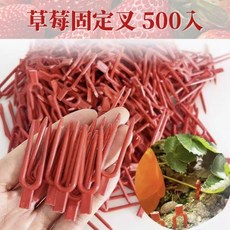 【欣榮園藝】草莓固定叉500入 走莖固定叉 壓蔓器 分株育苗 匍匐莖栽培, 1個, 500入一包