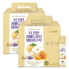 굿헬씨 더진한 꿀배도라지 데일리스틱 60포, 2개, 600ml