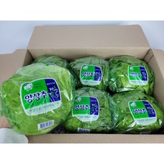 [산지직송] 꿀비마켓 국내산 포장 양상추 6통 식자재, 6개