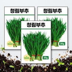 청림부추 씨앗 종자 20g, 3개