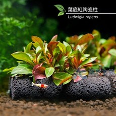 【AC草影】葉底紅陶瓷柱（水上葉）【一座】紅色水草 - 魚缸裝飾, 1個