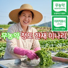 더맛곳간 국산 무농약 청도 한재 미나리 국내산 손질 세척, 1개, 500g