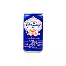 초정탄산수 복숭아 블라썸 190ml 30캔, 30개