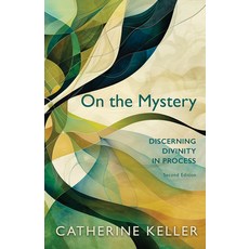 (外文書)On the Mystery: Discerning Divinity in Process Second Edition Paperback, Fortress Press, English