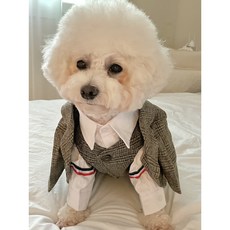 강아지옷 체크 조끼 자켓 정장 소형견 중형견, 차콜, 1개